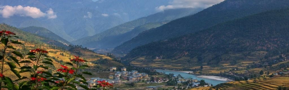 environment-of-bhutan